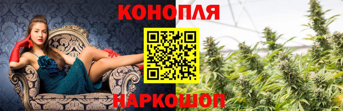 Канабис сатива Астрахань